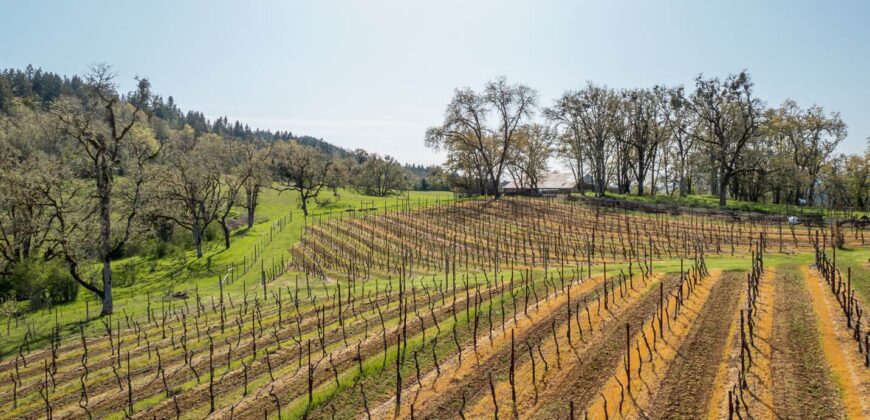 Umpqua Valley Equestrian Vineyard With Expansion Potential