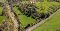 Umpqua Valley Equestrian Vineyard With Expansion Potential