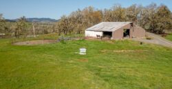 Umpqua Valley Equestrian Vineyard With Expansion Potential