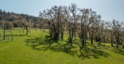 Umpqua Valley Equestrian Vineyard With Expansion Potential