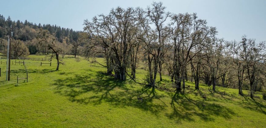 Umpqua Valley Equestrian Vineyard With Expansion Potential