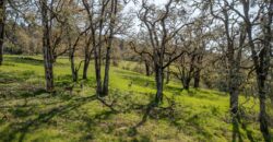 Umpqua Valley Equestrian Vineyard With Expansion Potential