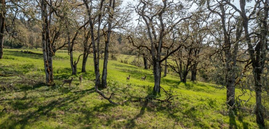 Umpqua Valley Equestrian Vineyard With Expansion Potential