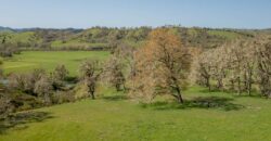Umpqua Valley Equestrian Vineyard With Expansion Potential