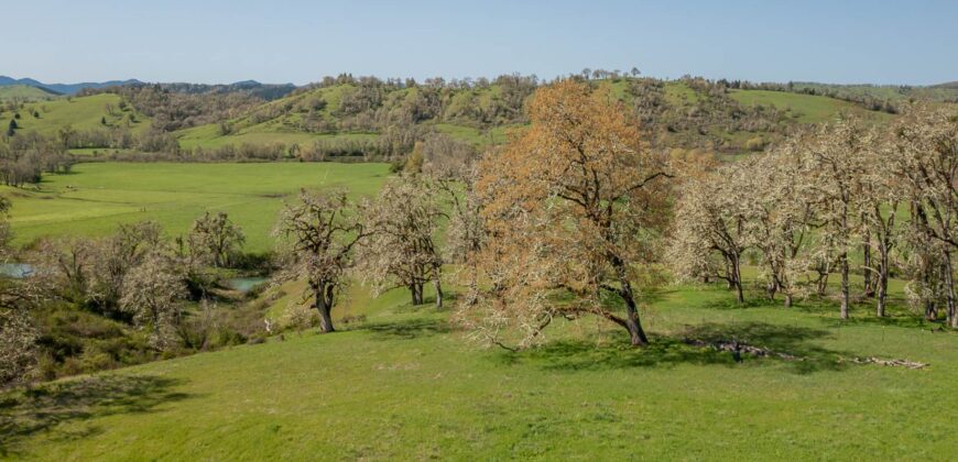 Umpqua Valley Equestrian Vineyard With Expansion Potential