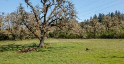 Umpqua Valley Equestrian Vineyard With Expansion Potential
