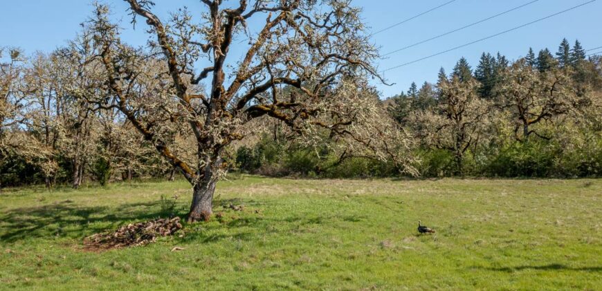 Umpqua Valley Equestrian Vineyard With Expansion Potential