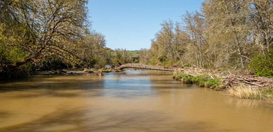 Umpqua Valley Equestrian Vineyard With Expansion Potential