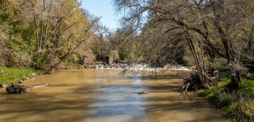 Umpqua Valley Equestrian Vineyard With Expansion Potential