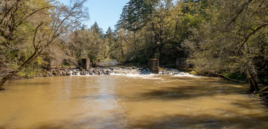Umpqua Valley Equestrian Vineyard With Expansion Potential