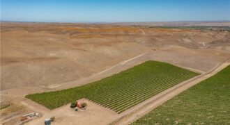 Paso Robles Vineyard For Sale w/ Pomegranates – Highlands District