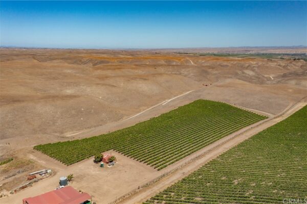Paso Robles Vineyard For Sale w/ Pomegranates – Highlands District
