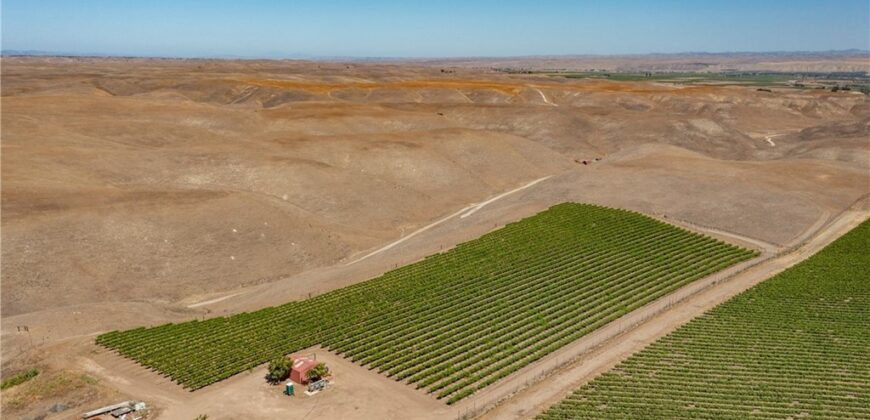 Paso Robles Vineyard For Sale w/ Pomegranates – Highlands District