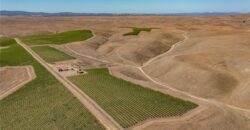 Paso Robles Vineyard For Sale w/ Pomegranates – Highlands District