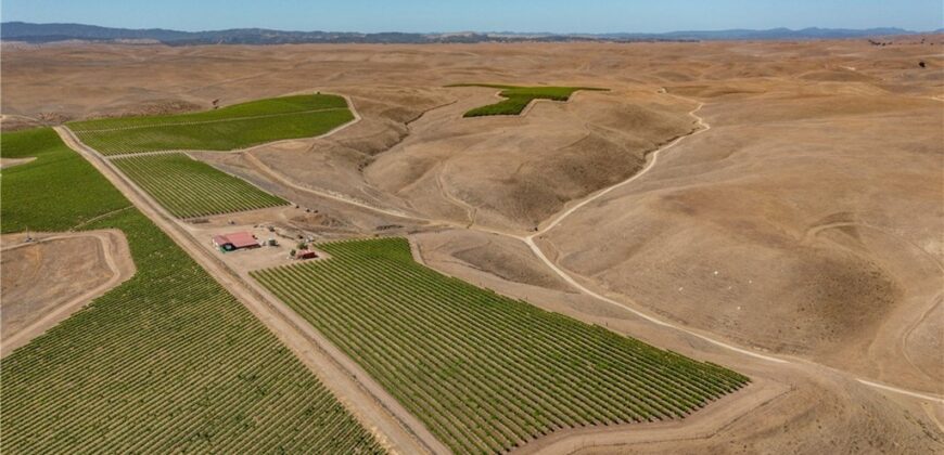 Paso Robles Vineyard For Sale w/ Pomegranates – Highlands District
