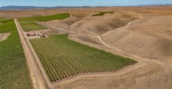Paso Robles Vineyard For Sale w/ Pomegranates – Highlands District