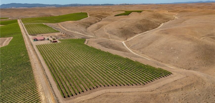 Paso Robles Vineyard For Sale w/ Pomegranates – Highlands District