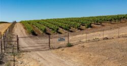 Paso Robles Vineyard For Sale w/ Pomegranates – Highlands District