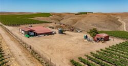 Paso Robles Vineyard For Sale w/ Pomegranates – Highlands District