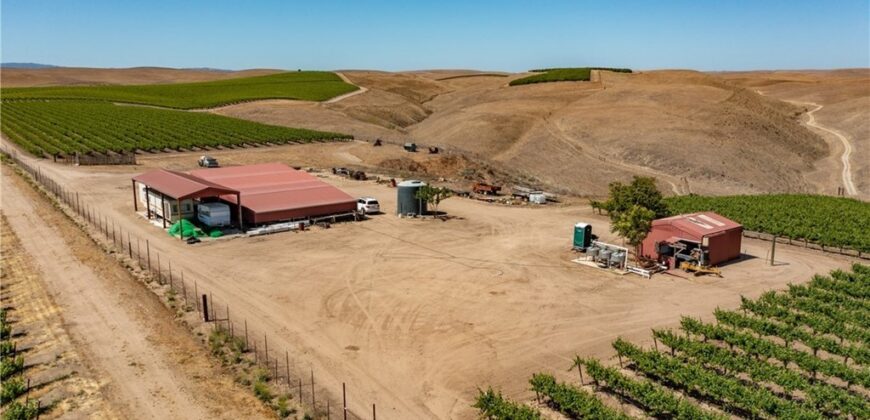 Paso Robles Vineyard For Sale w/ Pomegranates – Highlands District