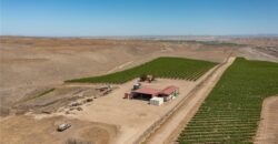 Paso Robles Vineyard For Sale w/ Pomegranates – Highlands District
