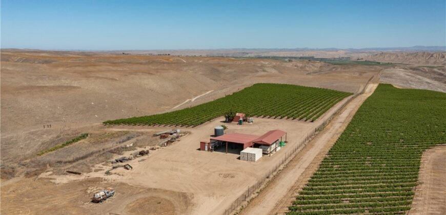 Paso Robles Vineyard For Sale w/ Pomegranates – Highlands District