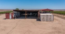 Paso Robles Vineyard For Sale w/ Pomegranates – Highlands District