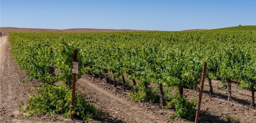 Paso Robles Vineyard For Sale w/ Pomegranates – Highlands District