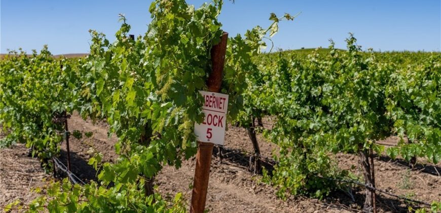 Paso Robles Vineyard For Sale w/ Pomegranates – Highlands District