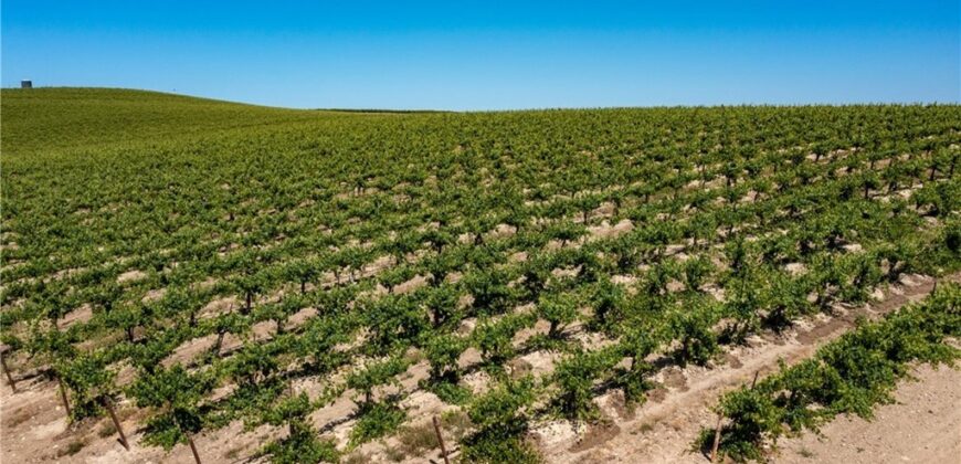 Paso Robles Vineyard For Sale w/ Pomegranates – Highlands District