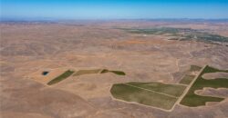 Paso Robles Vineyard For Sale w/ Pomegranates – Highlands District