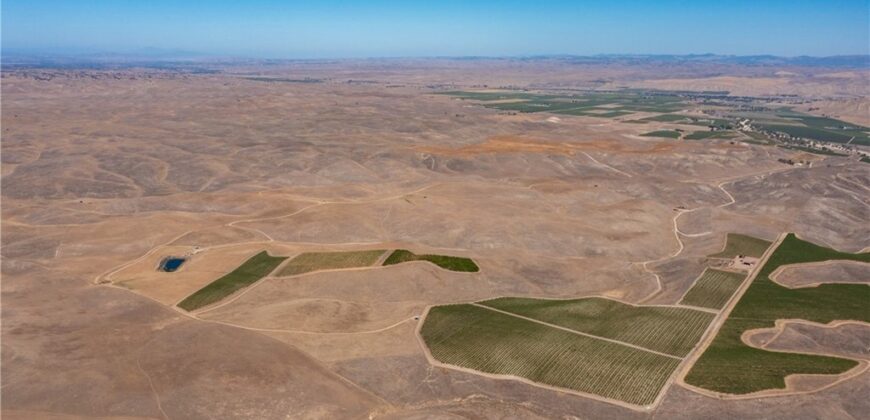 Paso Robles Vineyard For Sale w/ Pomegranates – Highlands District