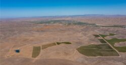 Paso Robles Vineyard For Sale w/ Pomegranates – Highlands District