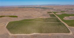 Paso Robles Vineyard For Sale w/ Pomegranates – Highlands District