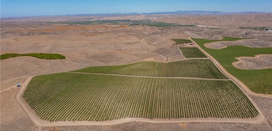 Paso Robles Vineyard For Sale w/ Pomegranates – Highlands District