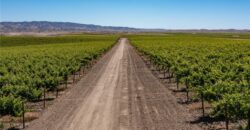 Paso Robles Vineyard For Sale w/ Pomegranates – Highlands District