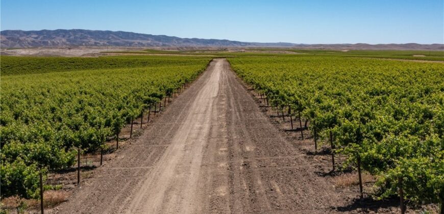 Paso Robles Vineyard For Sale w/ Pomegranates – Highlands District