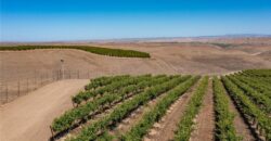 Paso Robles Vineyard For Sale w/ Pomegranates – Highlands District