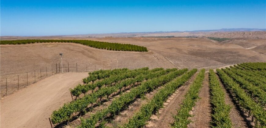 Paso Robles Vineyard For Sale w/ Pomegranates – Highlands District