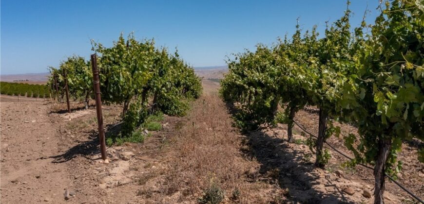 Paso Robles Vineyard For Sale w/ Pomegranates – Highlands District