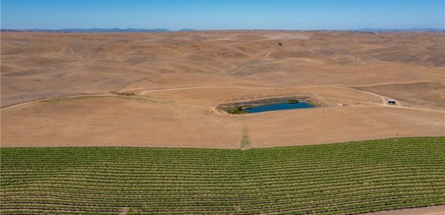 Paso Robles Vineyard For Sale w/ Pomegranates – Highlands District