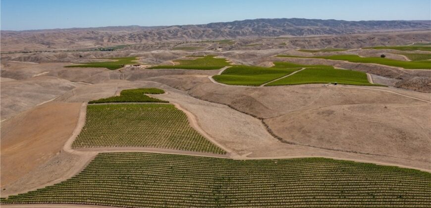Paso Robles Vineyard For Sale w/ Pomegranates – Highlands District