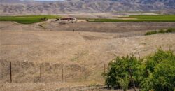 Paso Robles Vineyard For Sale w/ Pomegranates – Highlands District