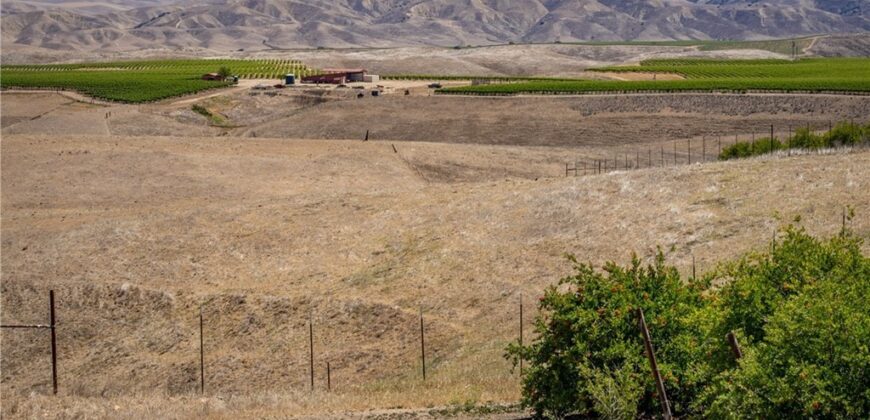 Paso Robles Vineyard For Sale w/ Pomegranates – Highlands District