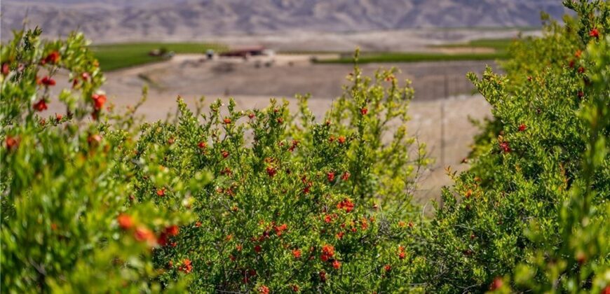 Paso Robles Vineyard For Sale w/ Pomegranates – Highlands District