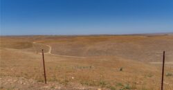 Paso Robles Vineyard For Sale w/ Pomegranates – Highlands District