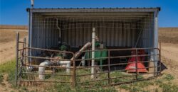 Paso Robles Vineyard For Sale w/ Pomegranates – Highlands District