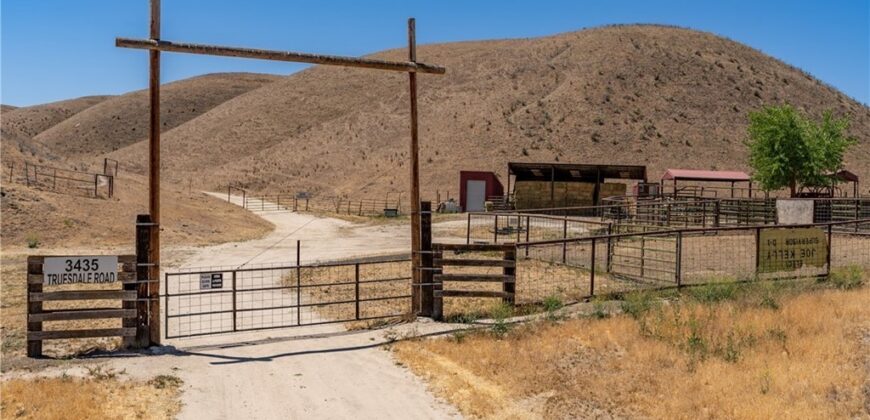 Paso Robles Vineyard For Sale w/ Pomegranates – Highlands District