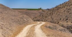Paso Robles Vineyard For Sale w/ Pomegranates – Highlands District
