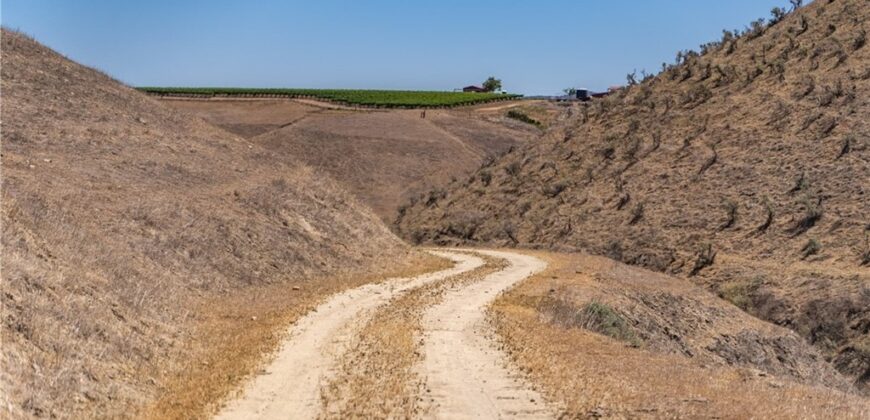 Paso Robles Vineyard For Sale w/ Pomegranates – Highlands District